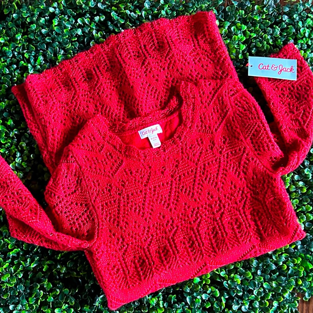 Cat & Jack “Wowzer” Red Dress